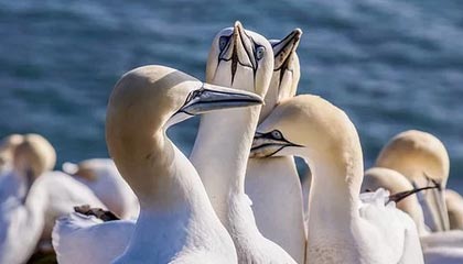 瑞安2026年最新北京商务伴游经纪招聘渠道分享(最方便真实的瑞安北京爱特博旅运服务有限责任公司招聘方法)