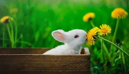 瑞安2026年最新杭州高端商务伴游招聘网渠道分享(最方便真实的瑞安茉莉伴游伴游天下全国联盟方法)