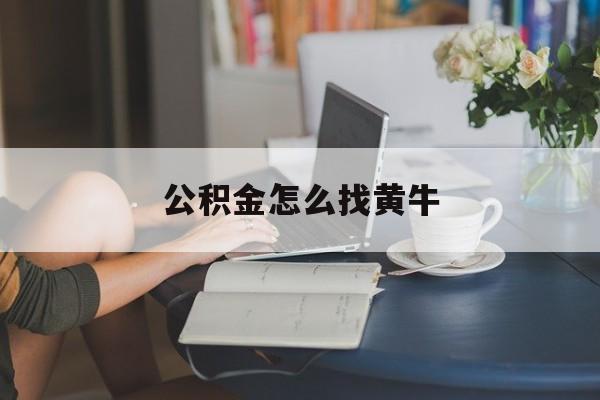 最新公积金怎么找黄牛方法分析(最方便真实的瑞安找黄牛公积金提取流程方法)
